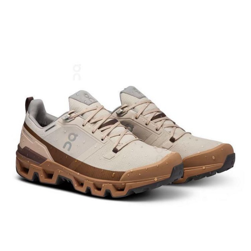 On Cloud Cloudwander Waterproof Marrones | PE_ON8092